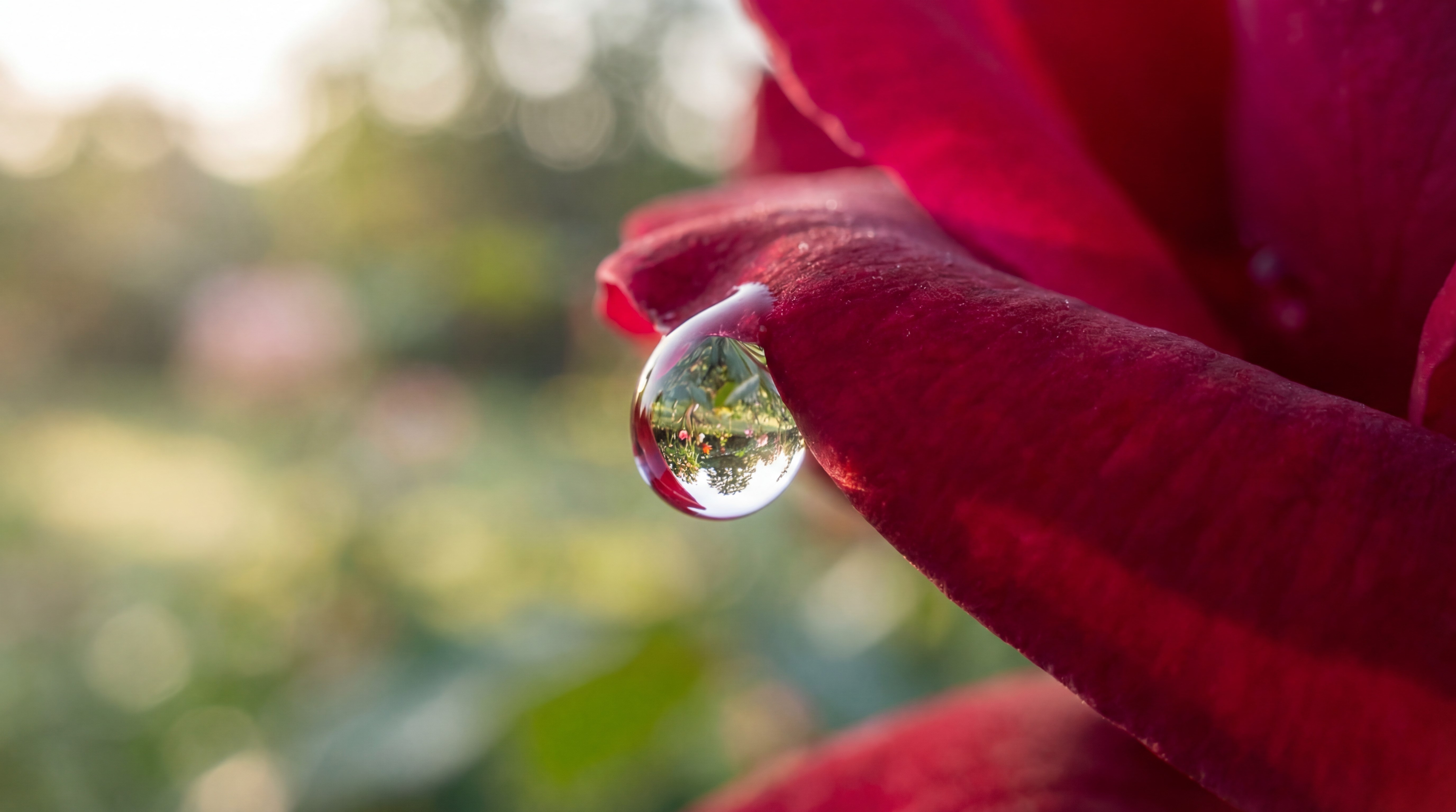 Saubere kommerzielle Fotografie — typisch für die kommerziell sichere, professionelle Bildgebung, die Firefly für Marken erzeugt