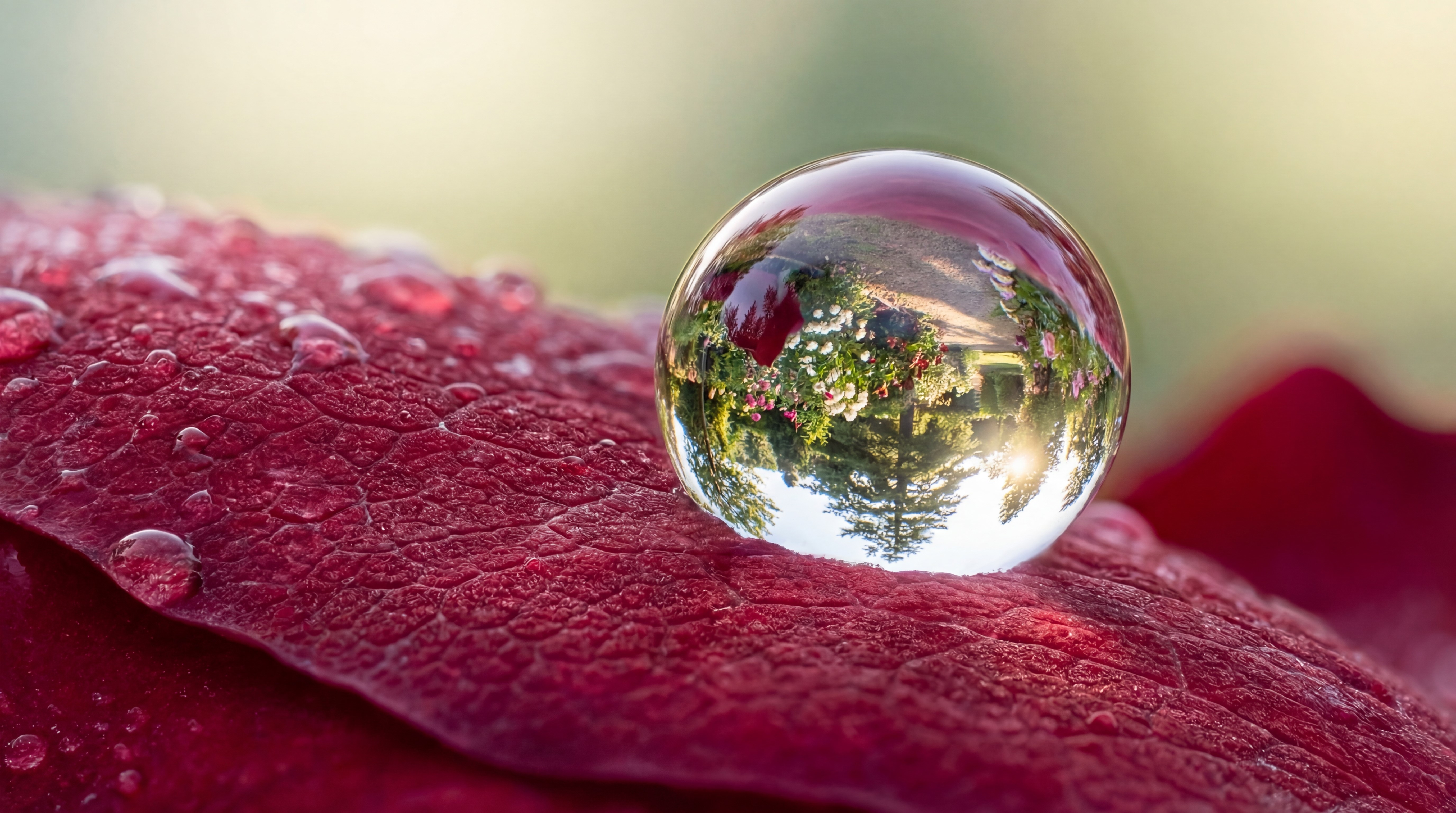 Künstlerischer Rendering-Vergleich — zeigt, wie verschiedene Modelle dasselbe kommerzielle Motiv unterschiedlich interpretieren