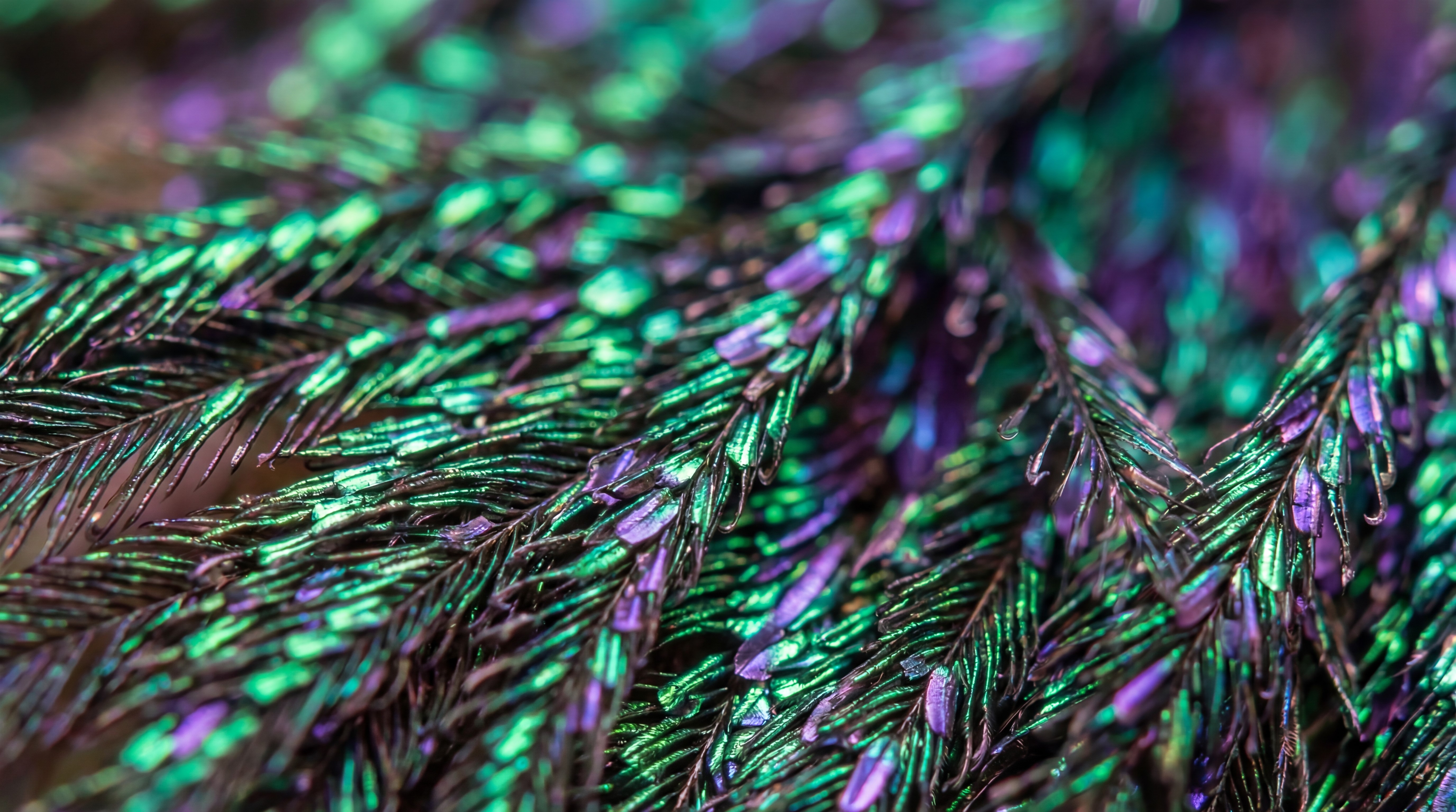 Extreme Nahaufnahme in KI-Kunst — Detail füllt den gesamten Rahmen, ein einzelnes Wort geändert